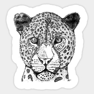 Leopard Sticker